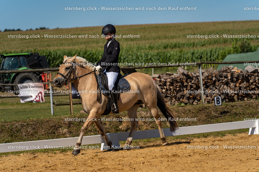 2026-08-09_09-17-36_WBO_Pulsnitz | sternberg.click - Realisiert mit Pictrs.com