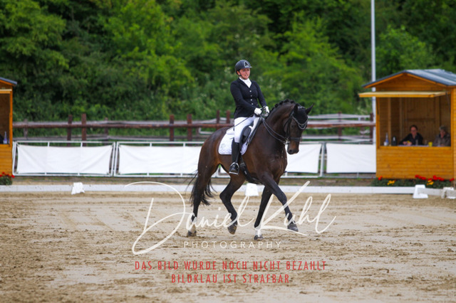 DKP47740 | Turniersportfotografie; Pferdefotografie; Dressurfotografie