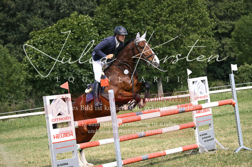 DSC_0777 | Pferde- und Turnierfotografie in Westsachsen. Pferdeportraits, Auftragszeichnungen und intuitive Kunst.