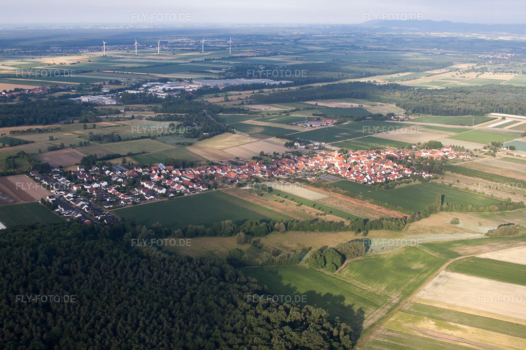Luftbild: Ortsansicht von Nordosten in Erlenbach bei Kandel im Bundesland Rheinland-Pfalz in Deutschland. Foto: IMG_67943.jpg vom 14.06.2014 durch Werner Riehm/FLY-FOTO.de