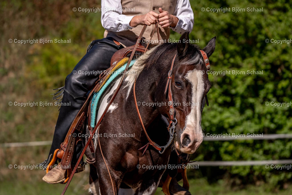 SAL02795 | BS-foto