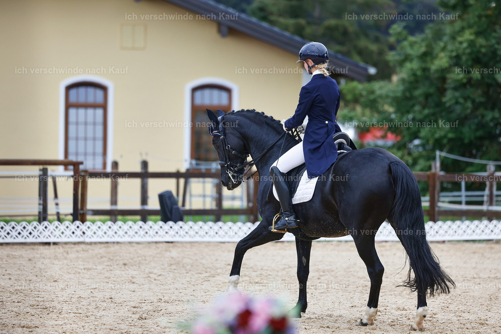 8_2-033-DRESSUR S_  -StoibPH-4407 | working equitationturnier fotograf videograf stoibphotography marixx film working equitation deutschland reitsport turnierfotografie eventfotografie equestrian events