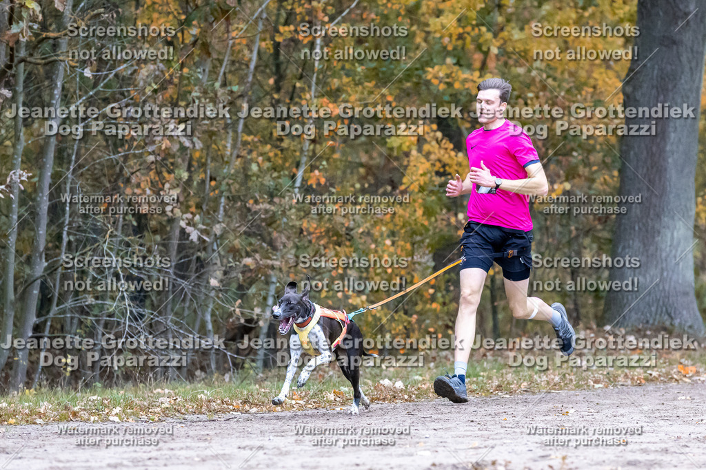 Dog Paparazzi - SD CaniX Championship 2025-120 | Dog Paparazzi Jeanette Grottendiek Fotografie & Videografie - Realisiert mit Pictrs.com