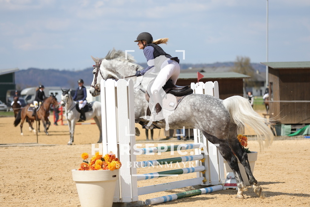 0P6A7510 | Willkommen bei Brunnmayr - Design & Fotografie – Ihrem Spezialisten für Reitturniere und Pferdeveranstaltungen in Oberösterreich, Salzburg und Bayern! Seit über 17 Jahren sind wir leidenschaftlich dabei.