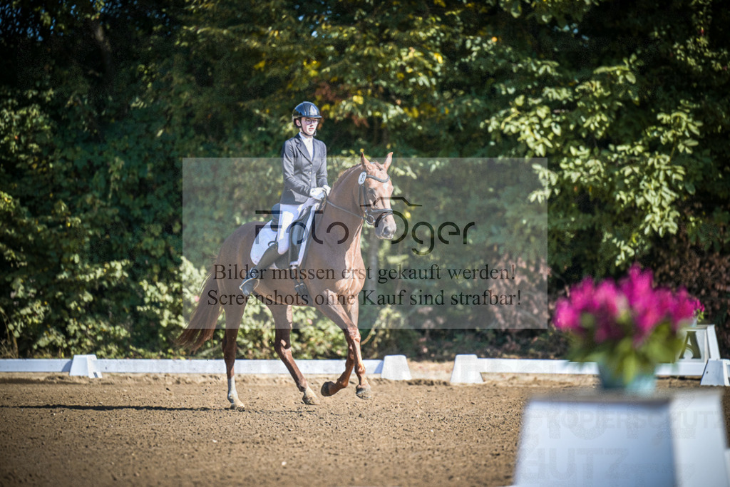 DOS_2251 | Entdecke hochwertige Reitturnierfotos von Foto Oger. Professionell, emotional und authentisch – jetzt Lieblingsmomente im Shop bestellen.Deutschlandweite Turnierfotografie. - Realisiert mit Pictrs.com