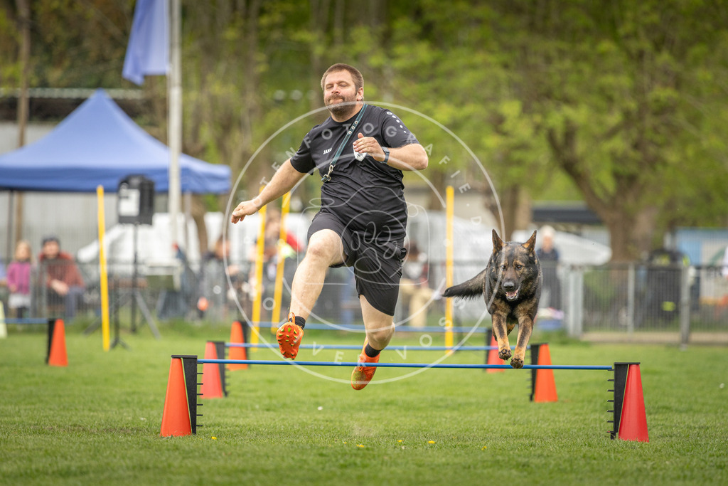 Pfotenfotografie_DV3A0713 | Hundefotografie, Tierfotograf, Pfotenfotografie, Fotoshooting Hund, Hunde Portrait, Hundesport, Hundeportraits, Heideshooting, Hunde, Sportfotograf, Hundefotograf, Turnierhundsport, THS,  - Realisiert mit Pictrs.com