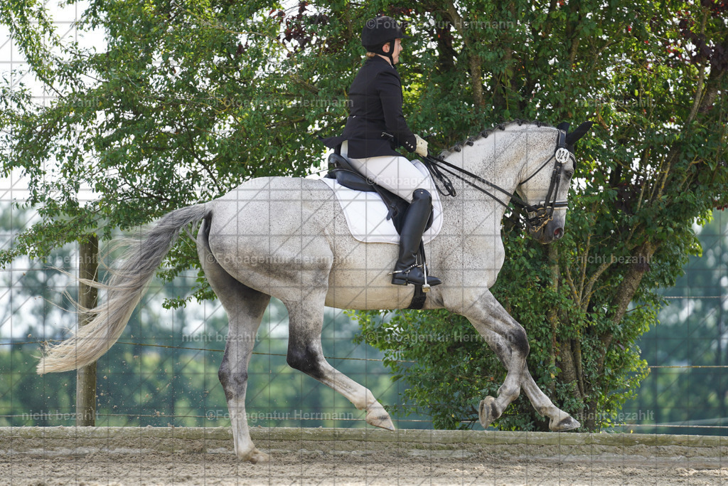 20230826-FAH05969 | Forstinning, 2023, Dressurturnier, Turniersportbilder, Turnierfotografen Bayern, Fotoagentur Herrmann, Reitsportfotografie, Turnierbilder