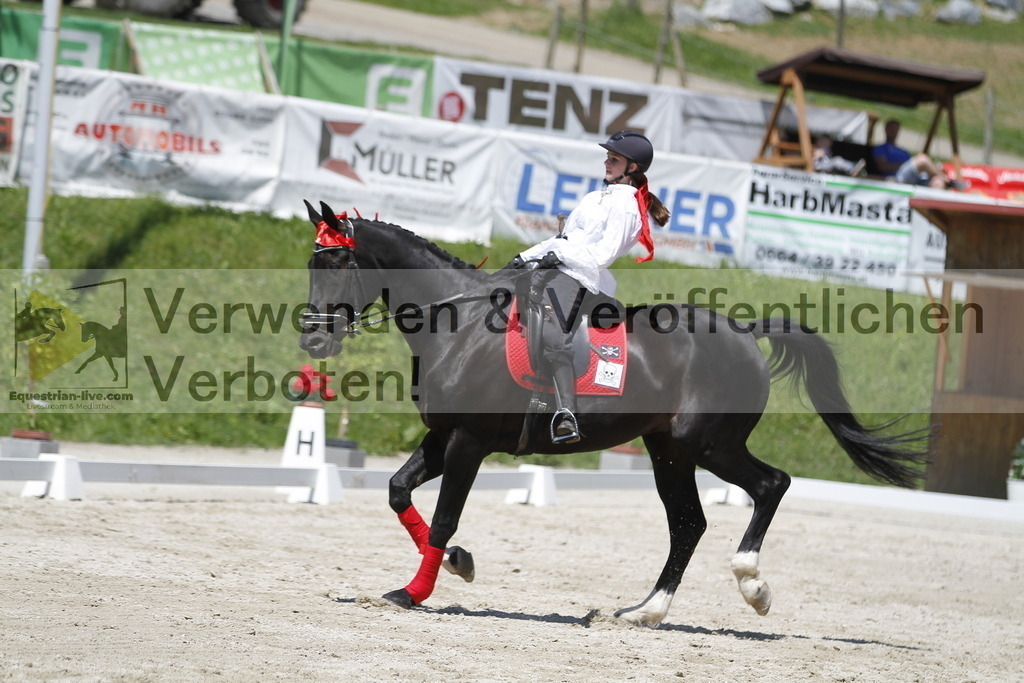 _MG_7446 | equestrian-live-com