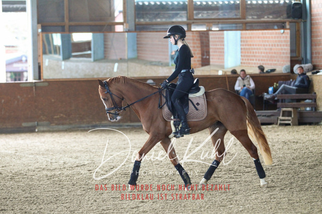 DKP42585 | Turniersportfotografie; Pferdefotografie; Dressurfotografie