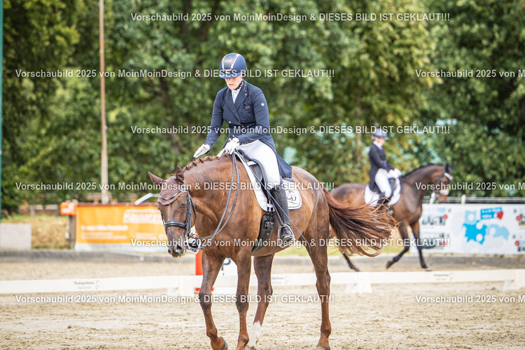 RFVI2714 | “Moin Moin Design – Kreatives Grafikdesign aus Norddeutschland! Wir gestalten individuelle Logos, Flyer, Plakate und Webdesign mit Leidenschaft und Präzision. Jetzt inspirieren lassen!”