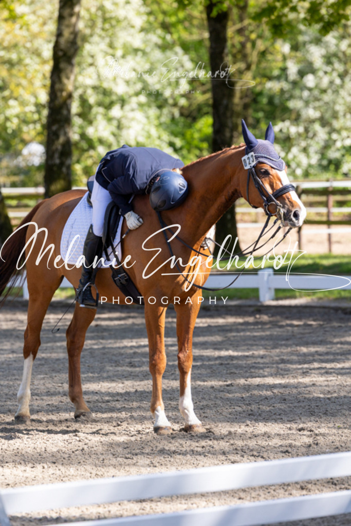 7I8A6467 | melanie-engelhardt-photography - Realisiert mit Pictrs.com