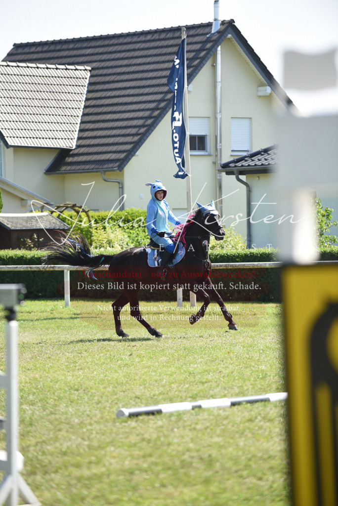 DSC_0215 | Pferde- und Turnierfotografie in Westsachsen. Pferdeportraits, Auftragszeichnungen und intuitive Kunst.