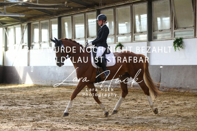 DKP45844 | larahueckfotografie