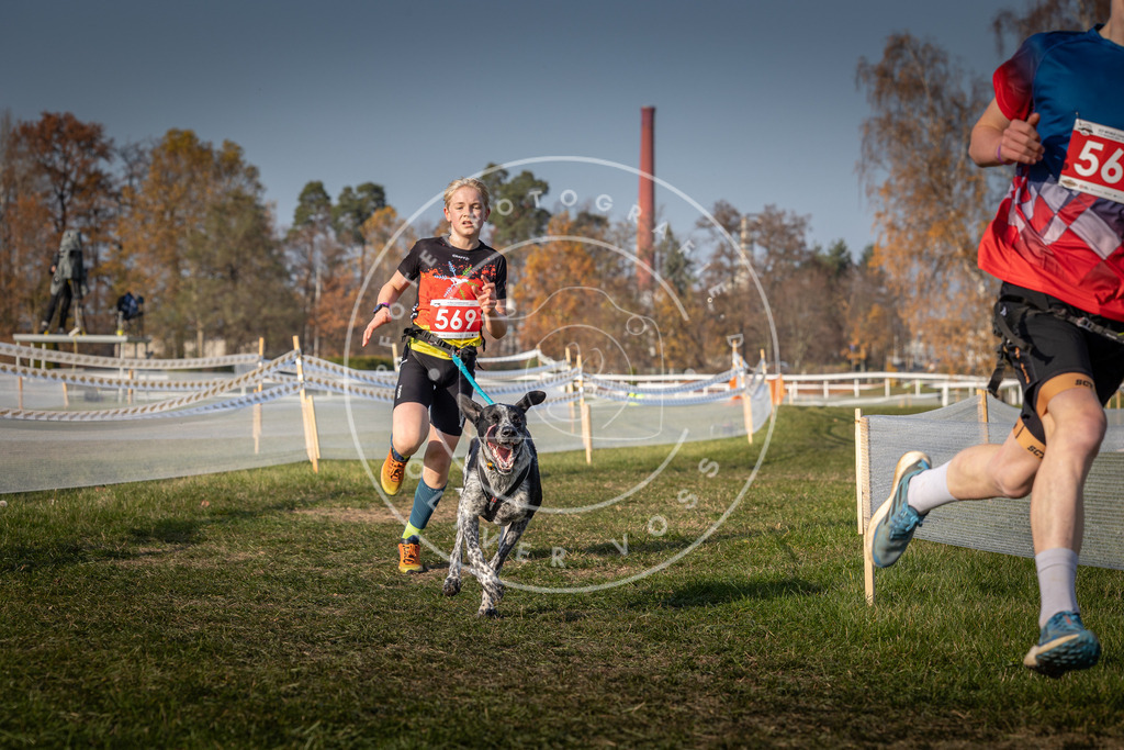 CaniXpix_0L8A9479 | Hundefotografie, Tierfotograf, Pfotenfotografie, Fotoshooting Hund, Hunde Portrait, Hundesport, Hundeportraits, Heideshooting, Hunde, Sportfotograf, Hundefotograf, Turnierhundsport, THS,  - Realisiert mit Pictrs.com