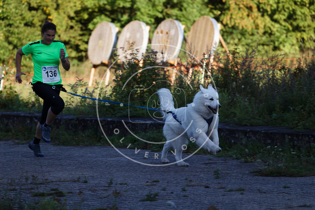 0L8A4815 | Hundefotografie, Tierfotograf, Pfotenfotografie, Fotoshooting Hund, Hunde Portrait, Hundesport, Hundeportraits, Heideshooting, Hunde, Sportfotograf, Hundefotograf, Turnierhundsport, THS,  - Realisiert mit Pictrs.com