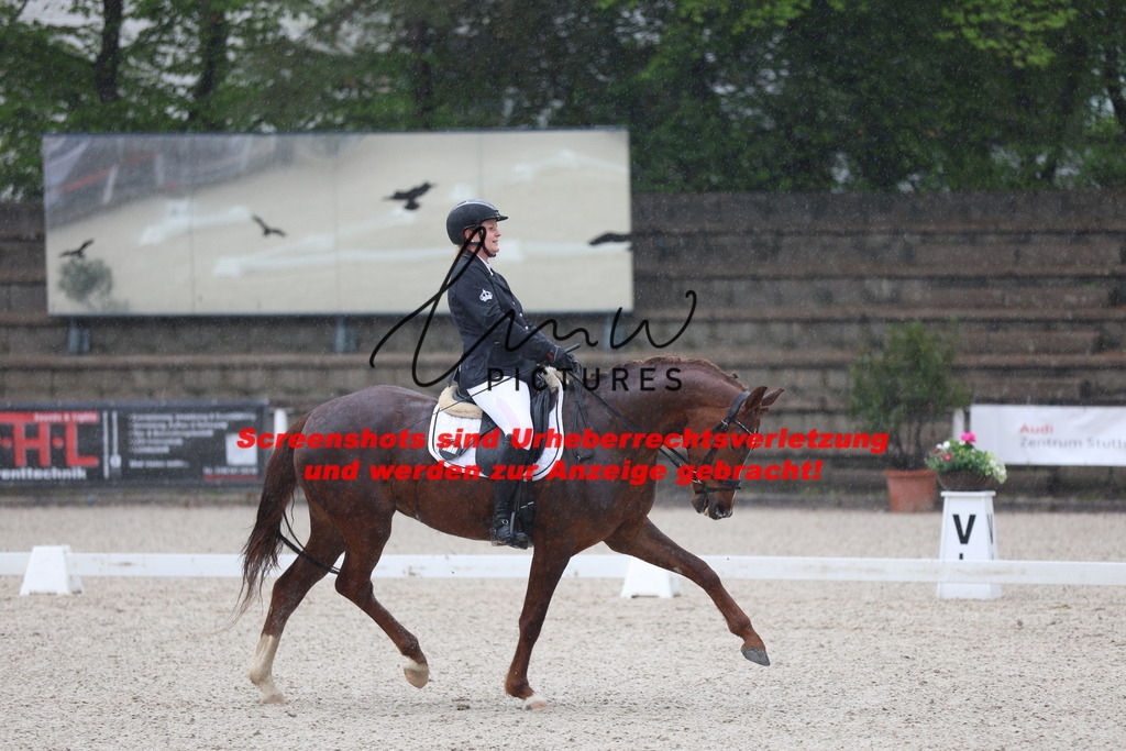 A40A7616 | lmwpictures - Realisiert mit Pictrs.com