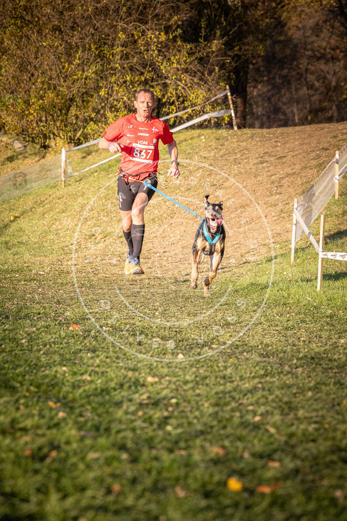 CaniXpix_0L8A0990 | Hundefotografie, Tierfotograf, Pfotenfotografie, Fotoshooting Hund, Hunde Portrait, Hundesport, Hundeportraits, Heideshooting, Hunde, Sportfotograf, Hundefotograf, Turnierhundsport, THS,  - Realisiert mit Pictrs.com