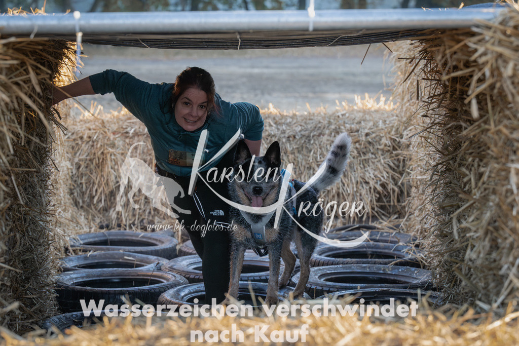 0914_ZZ92136-Verbessert-RR | kk-dogfotos