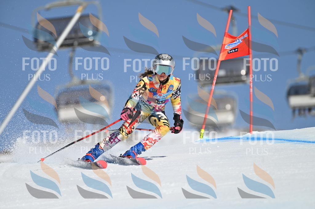 BGV_7831 | holidayphoto