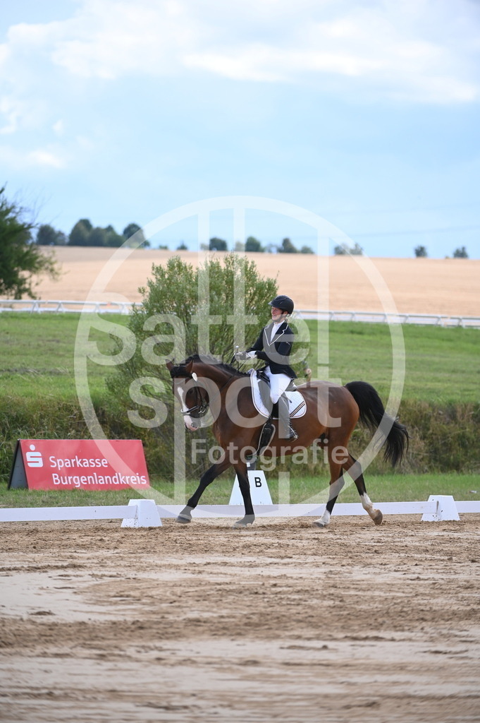 DSC_7746 | sattelsport - Realisiert mit Pictrs.com