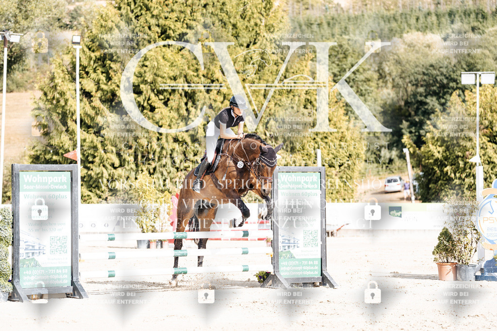 CK909077 | Turnierfotografie Pferdefotografie Trier Rheinland-Pfalz Pferdesport Reitsport Tierfotografie Sportfotografie Pferdevideo Pferdevideografie Equestrianvideography equestrianphotography  - Realisiert mit Pictrs.com
