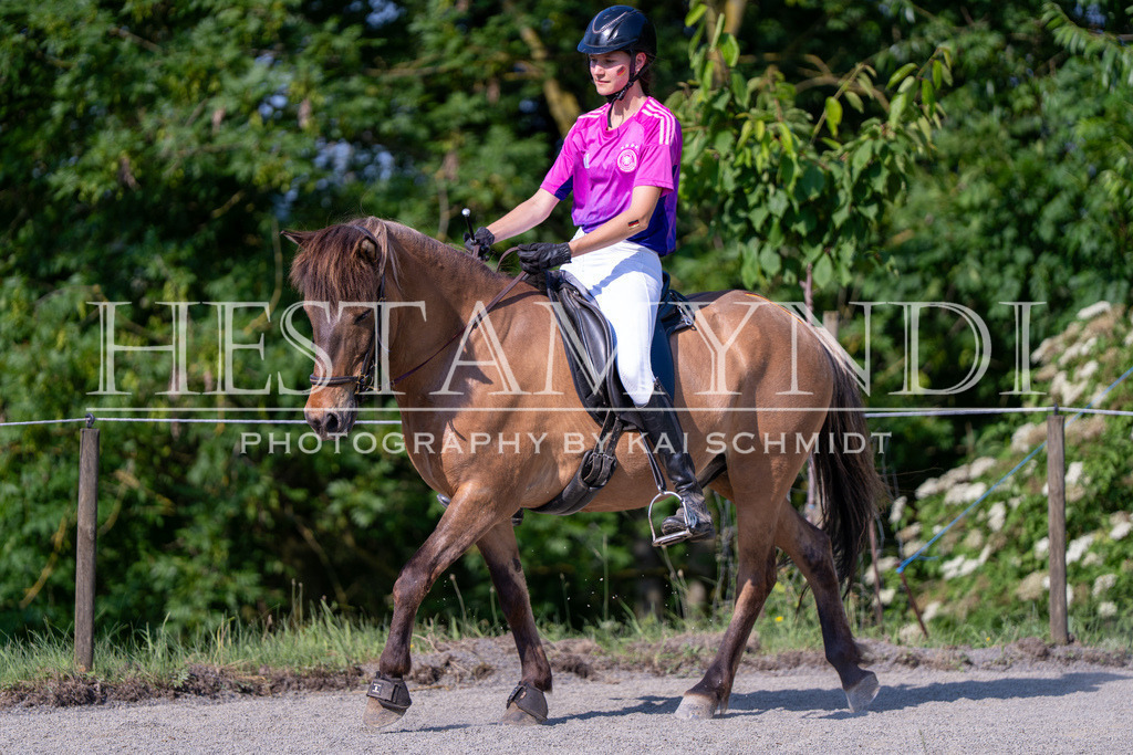 KAI07126 | Ihr sucht einen Fotografen für eure nächste OSI? Ich begleite auch euer Turnier für Islandpferde fotografisch.  - Realisiert mit Pictrs.com