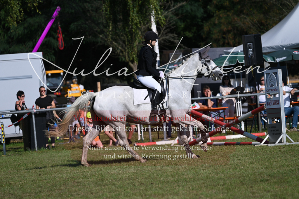 DSC_5079 | Pferde- und Turnierfotografie in Westsachsen. Pferdeportraits, Auftragszeichnungen und intuitive Kunst.