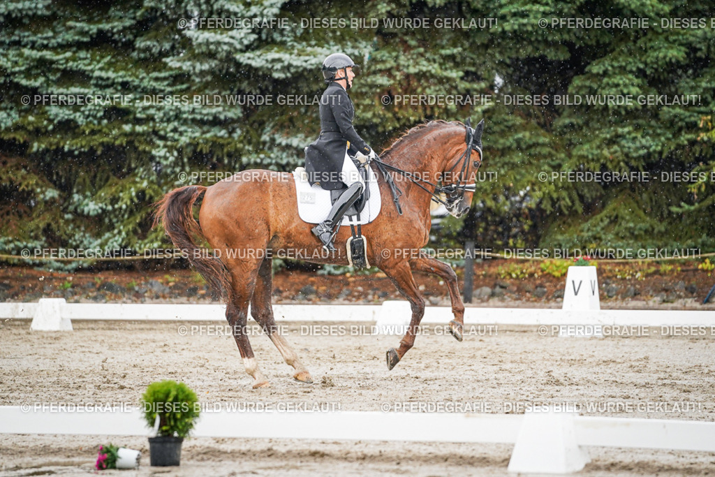 DSC09140 | Pferdegrafie