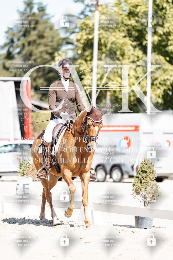 CK909072 | Turnierfotografie Pferdefotografie Trier Rheinland-Pfalz Pferdesport Reitsport Tierfotografie Sportfotografie Pferdevideo Pferdevideografie Equestrianvideography equestrianphotography  - Realisiert mit Pictrs.com
