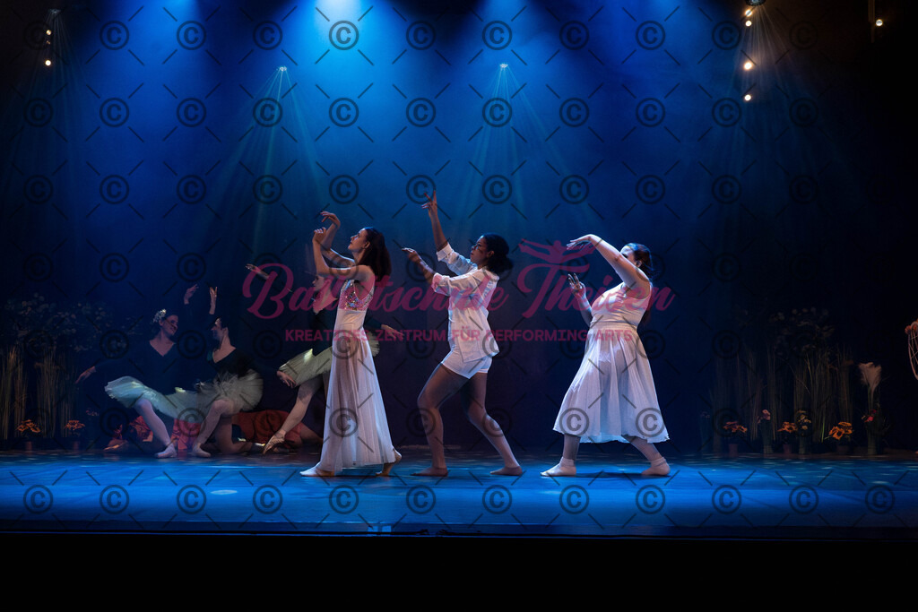 Ballettaufführung-864 | Bildershop Lem'n Entertainment - Realisiert mit Pictrs.com