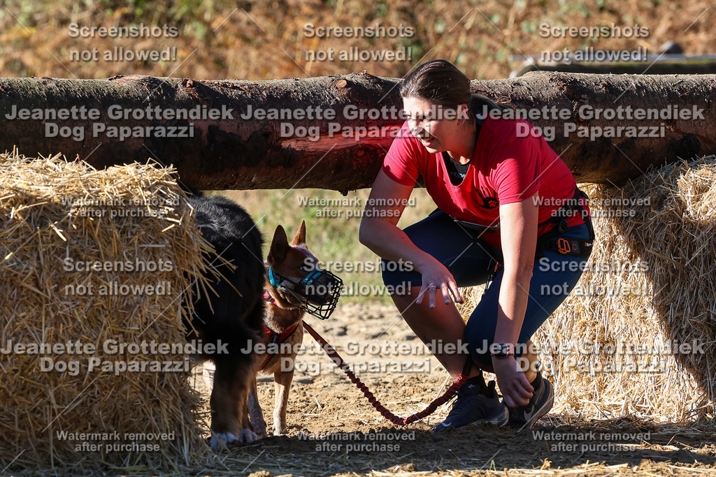 Dog Paparazzi - Strongdog 10-25-2206 | Dog Paparazzi Jeanette Grottendiek Fotografie & Videografie - Realisiert mit Pictrs.com