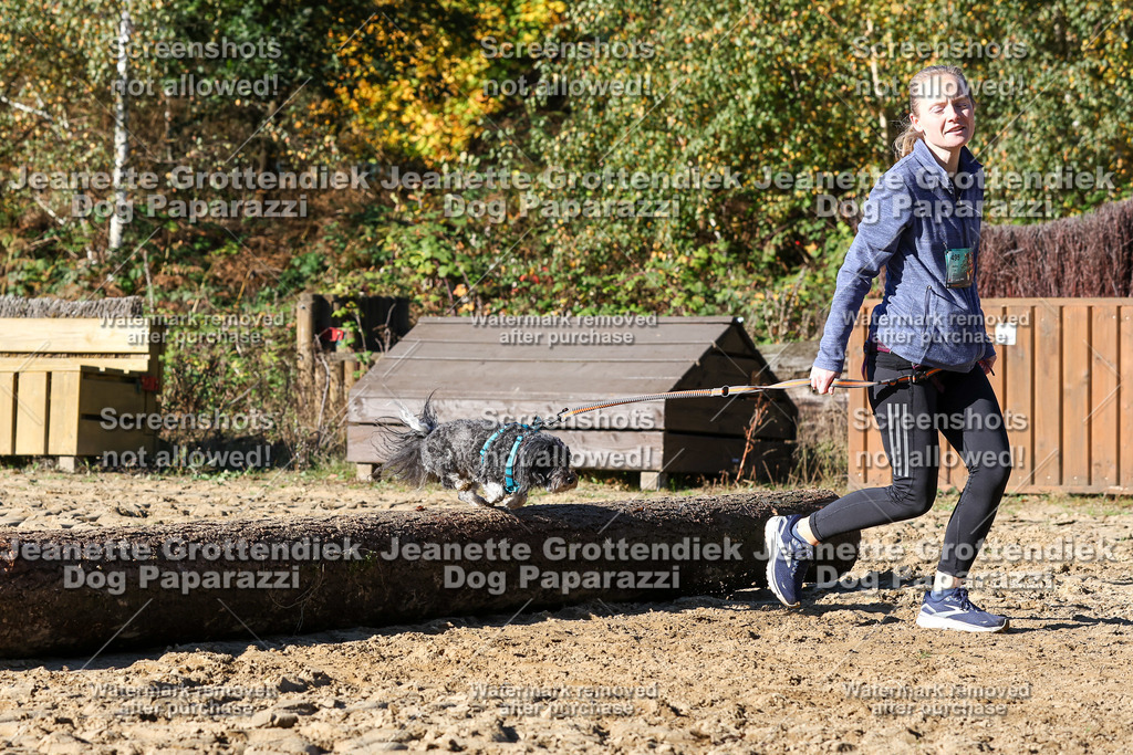 Dog Paparazzi - Strongdog 10-25-2241 | Dog Paparazzi Jeanette Grottendiek Fotografie & Videografie