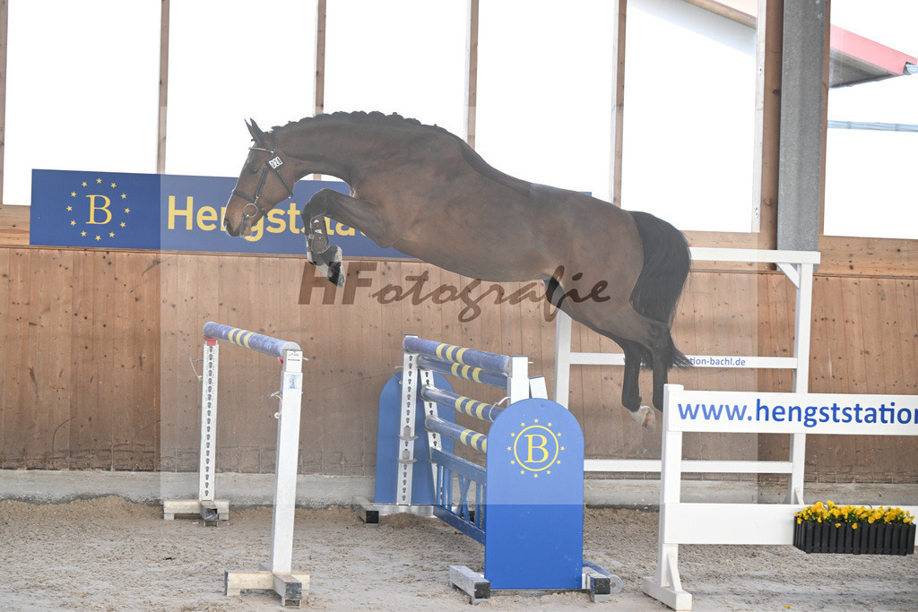 Kat-Nr. 28 Vintl B v. Vigaro_Rau_14260883 | hf-fotografie - Realisiert mit Pictrs.com
