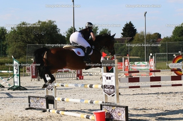OHT 2022 Röhlingen (95) | Fotografie, Tiere, Hunde, Katzen, Pferde, Sportfotografie, Fotosession, Tierfotografie, Turnierfotografie, Fotografin, Fotograf - Realisiert mit Pictrs.com