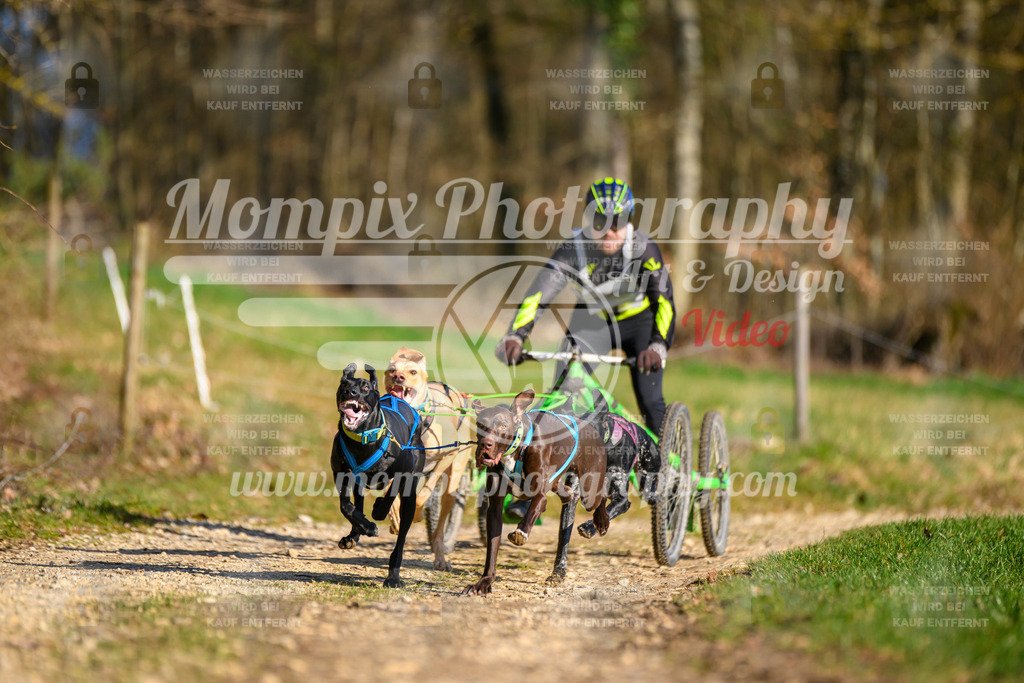 MompixPhotography_ReiatRennen2024_Nome-1 | PayLife