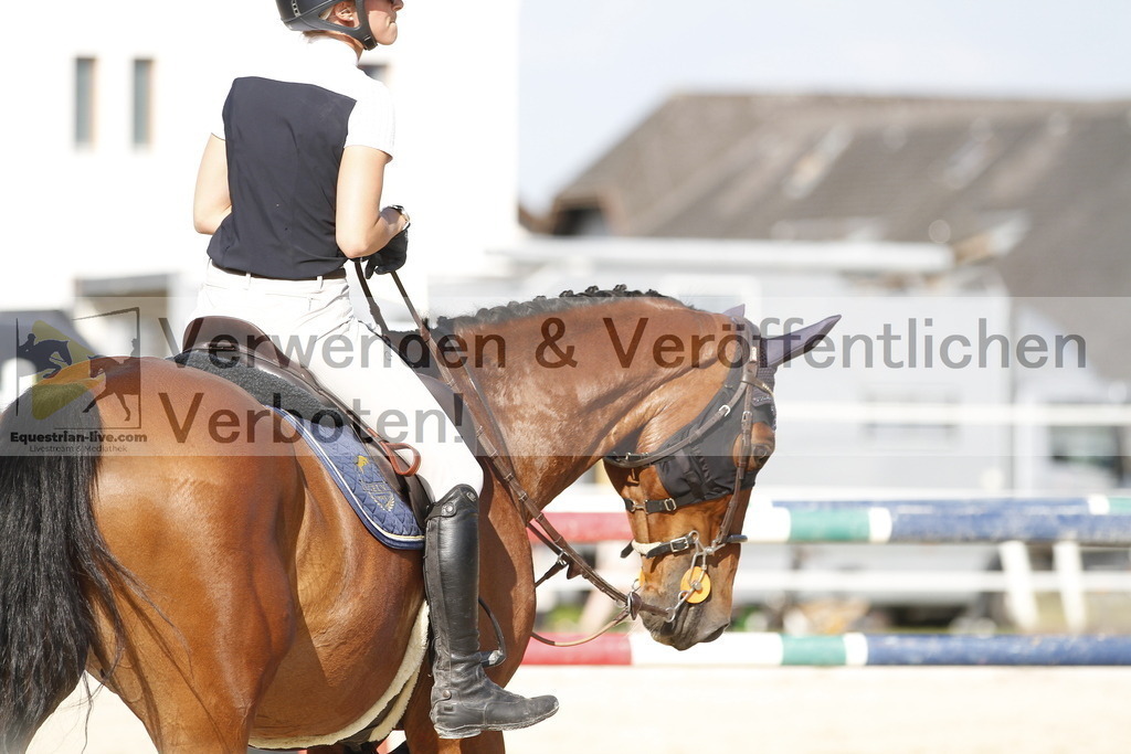 _MG_5547 | equestrian-live-com