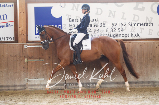 DKP43427 | Turniersportfotografie; Pferdefotografie; Dressurfotografie