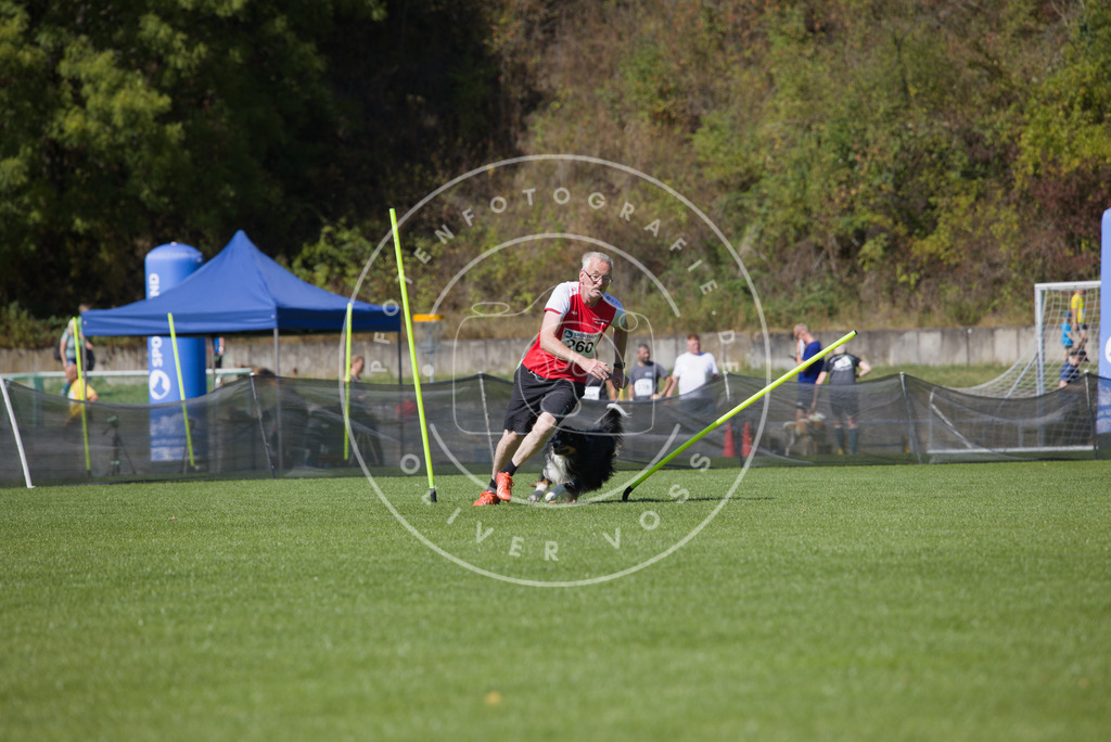 0L8A6433 | Hundefotografie, Tierfotograf, Pfotenfotografie, Fotoshooting Hund, Hunde Portrait, Hundesport, Hundeportraits, Heideshooting, Hunde, Sportfotograf, Hundefotograf, Turnierhundsport, THS,  - Realisiert mit Pictrs.com