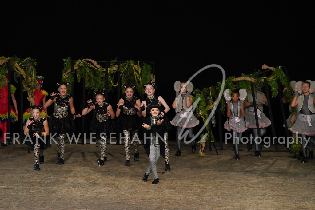 steppdm22_2910 | FRANK WIESEHAHN MEDIA - Realisiert mit Pictrs.com