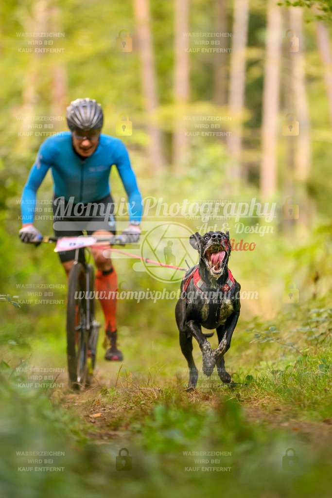 MompixPhotography_Yens2025_B2-37 | PayLife