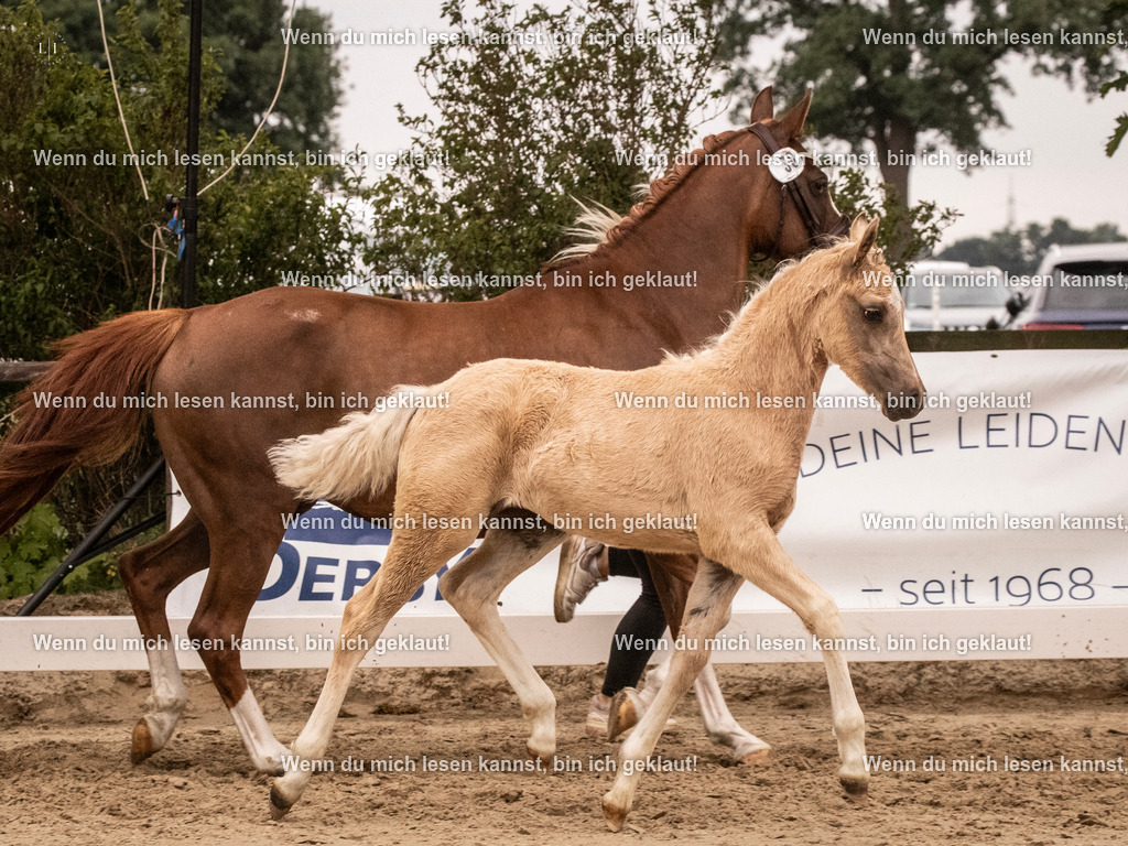 A10I3072 15.56.14 | photographylinaismer - Realisiert mit Pictrs.com