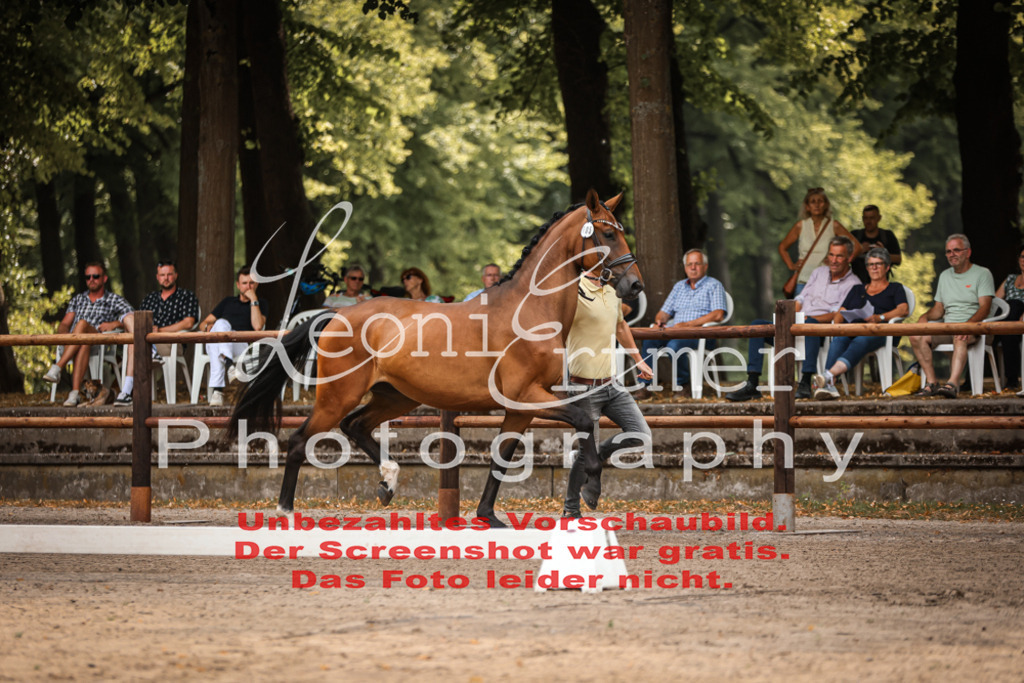 Do2.R00002 | Leoni Ertmer Photography - Realisiert mit Pictrs.com
