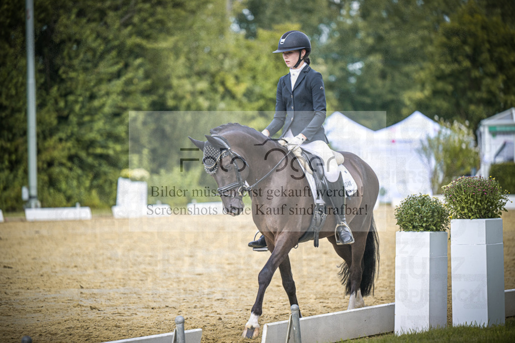 DOS_3735 | Entdecke hochwertige Reitturnierfotos von Foto Oger. Professionell, emotional und authentisch – jetzt Lieblingsmomente im Shop bestellen.Deutschlandweite Turnierfotografie. - Realisiert mit Pictrs.com