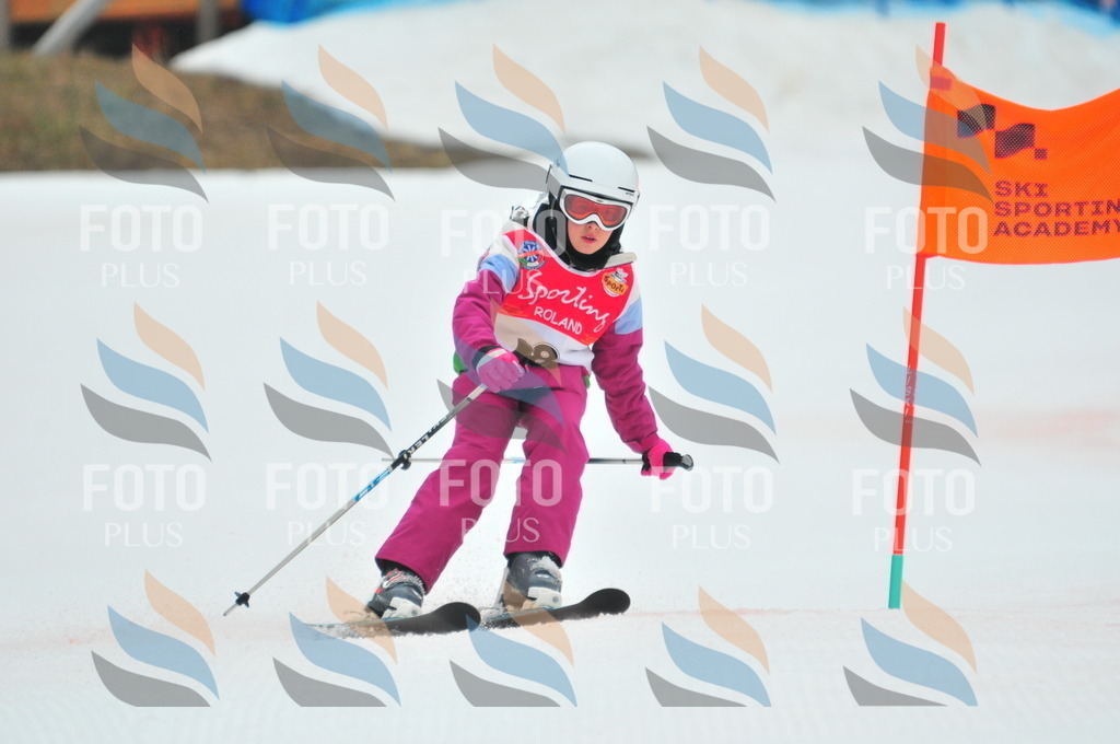 C0359 | holidayphoto