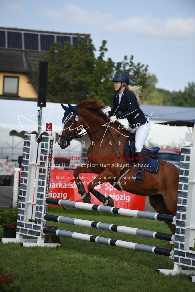 DSC_8849 | Pferde- und Turnierfotografie in Westsachsen. Pferdeportraits, Auftragszeichnungen und intuitive Kunst.