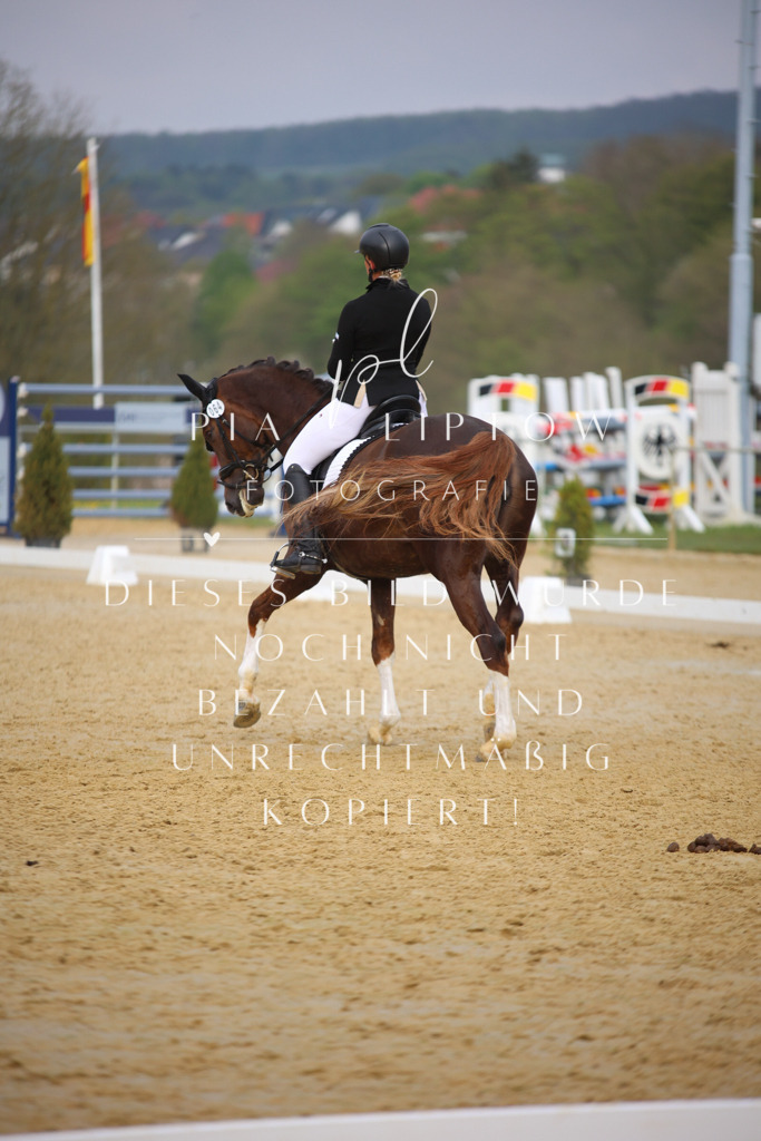 IMGT7756 | pl-fotografie