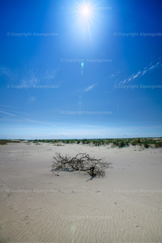 Juist-006 | Juist Nordsee - Realisiert mit Pictrs.com