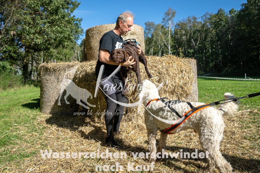 1217_ZZ91211-2 | kk-dogfotos