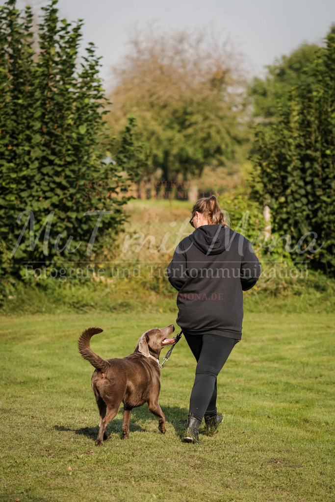 20250928_Hunderennen-5 | MuT (Mensch und Tier) mit Mona - Fotografie und Tierkommunikation - Realisiert mit Pictrs.com