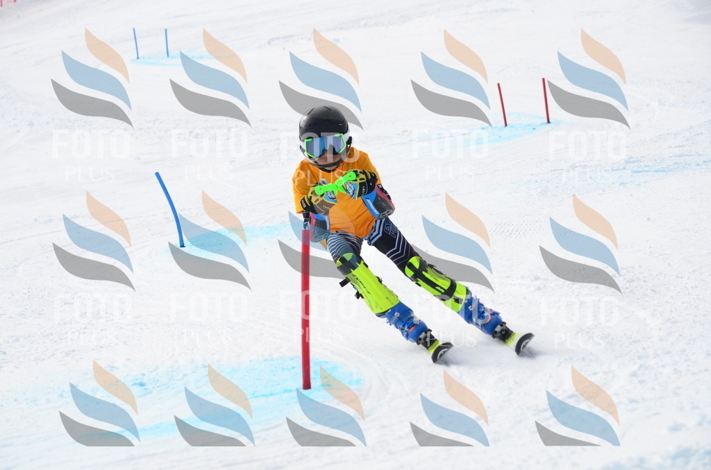 C8224 | holidayphoto